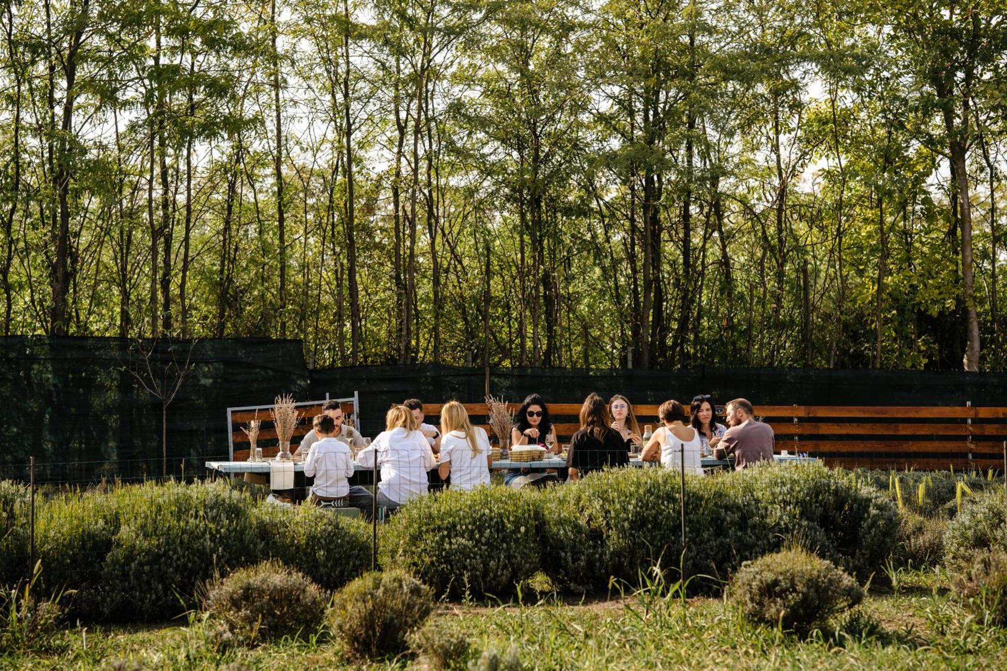 The Tribe Alpaca Retreat 호텔 Branesti 외부 사진