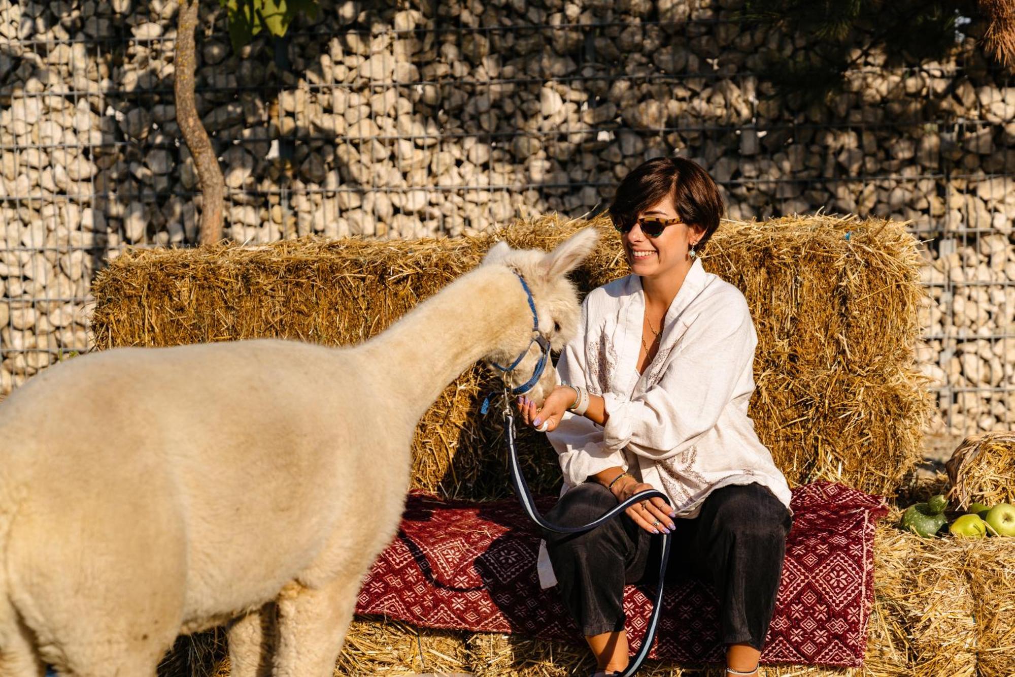 The Tribe Alpaca Retreat 호텔 Branesti 외부 사진